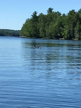 $499,000 | 43 Luckman Road, St. Albans, ME 04971