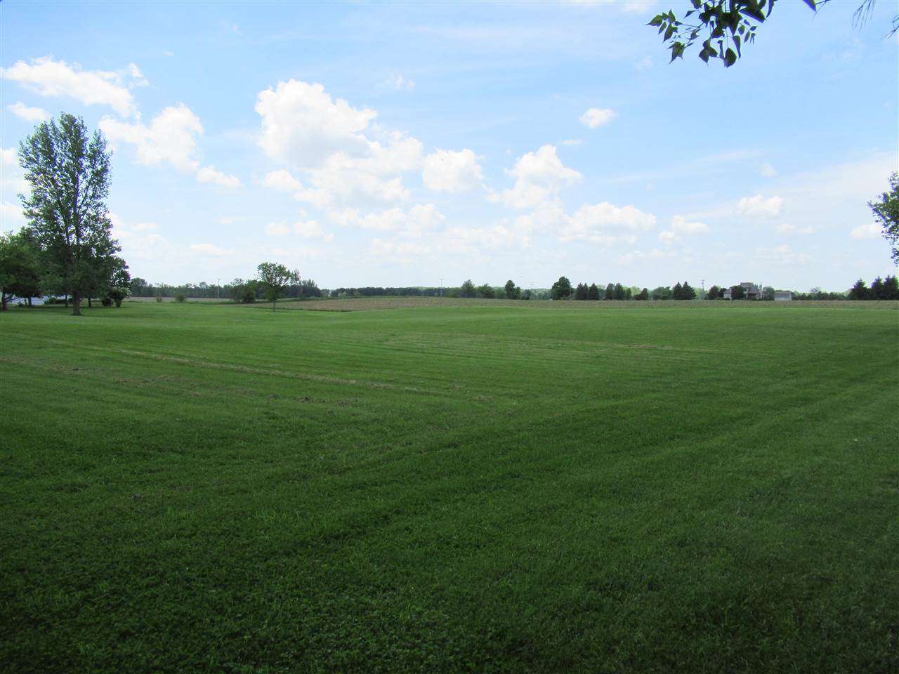 6741 Reside Road Imlay City, MI 48444 - Photo 54 of 62 50076301-53.JPG