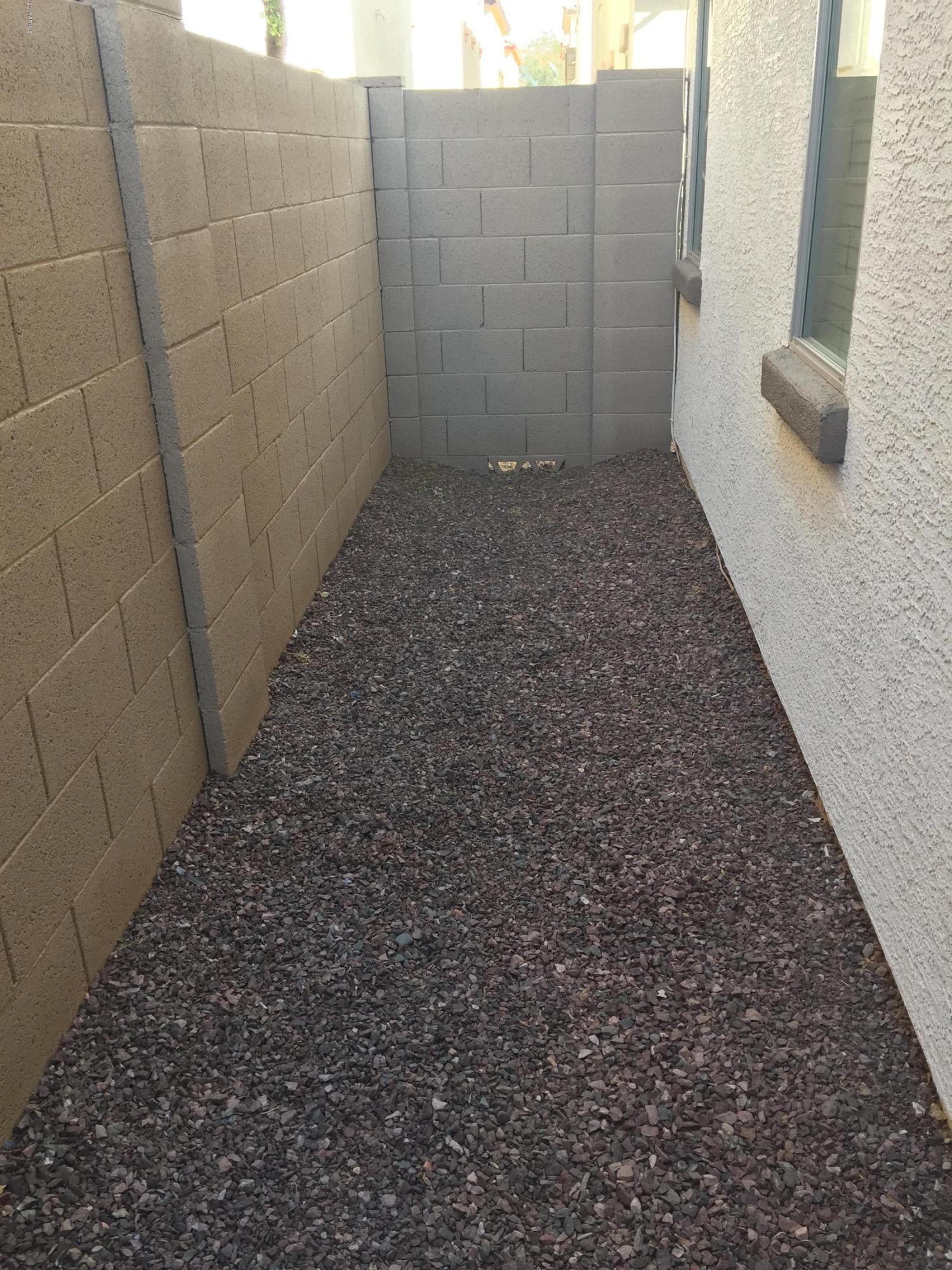 4652 East Redfield Road Gilbert, AZ 85234 - Photo 19 of 30 IMG_3561