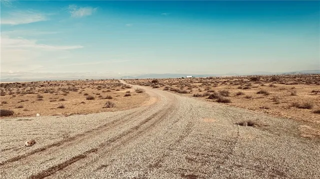 a view of a dry yard