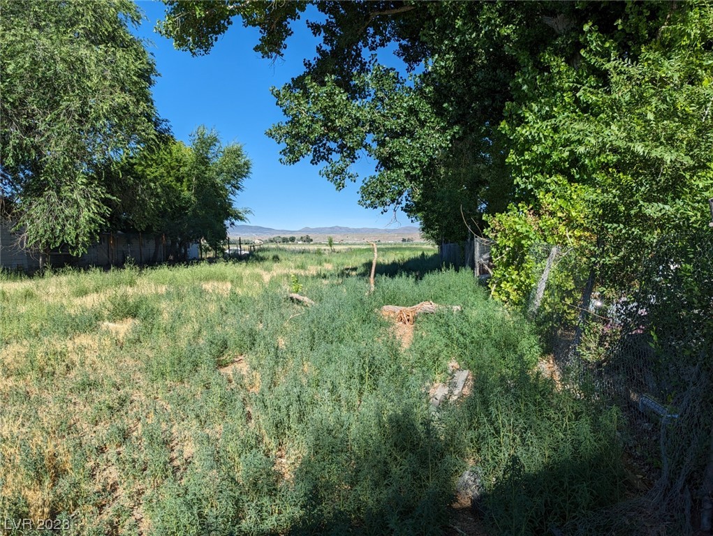 33 North 2nd Street Panaca, NV 89042 - Photo 5 of 16 Gallery Image 5