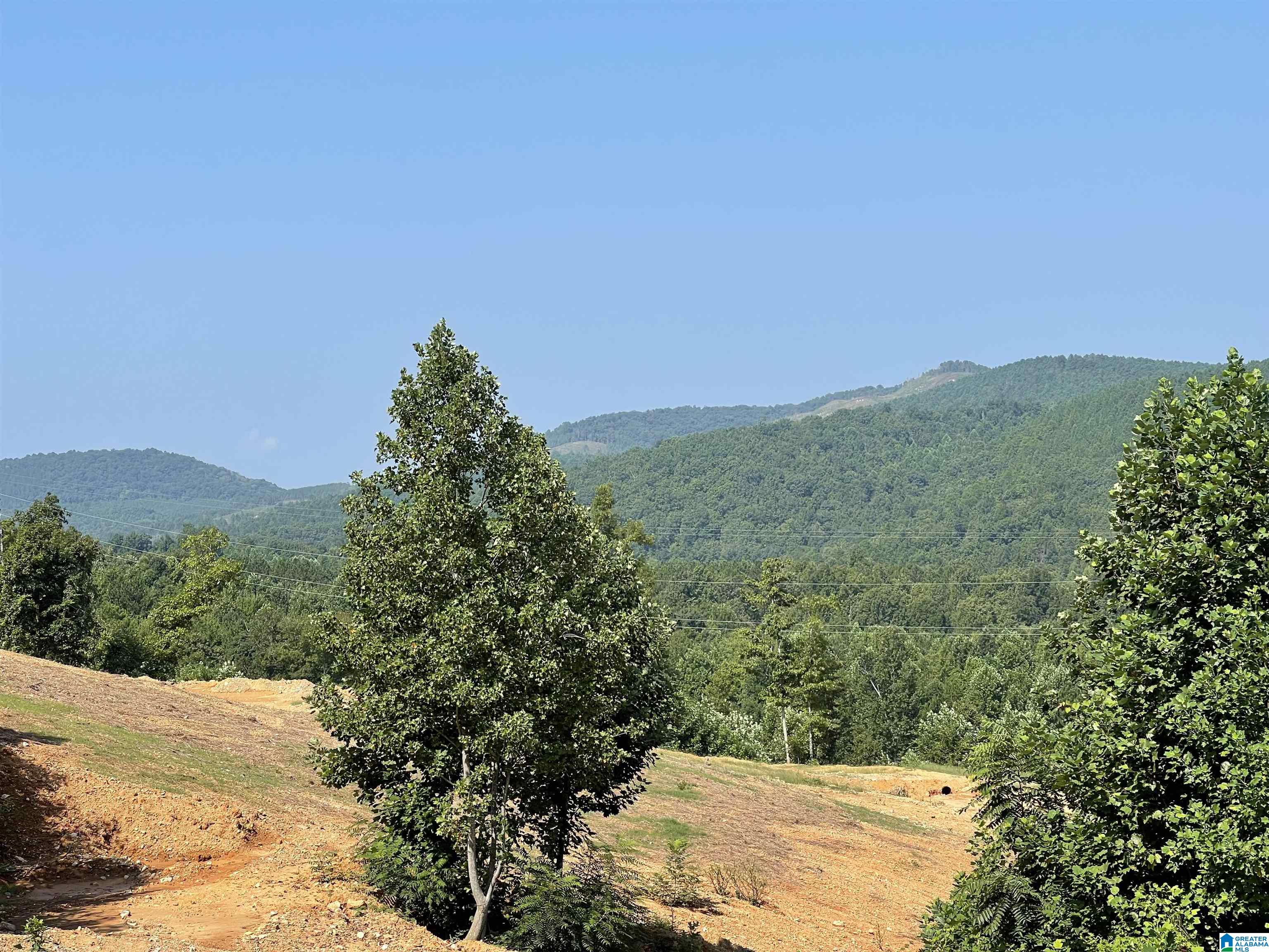 0 Benefield Gap Road Piedmont, AL 36272 - Photo 1 of 24