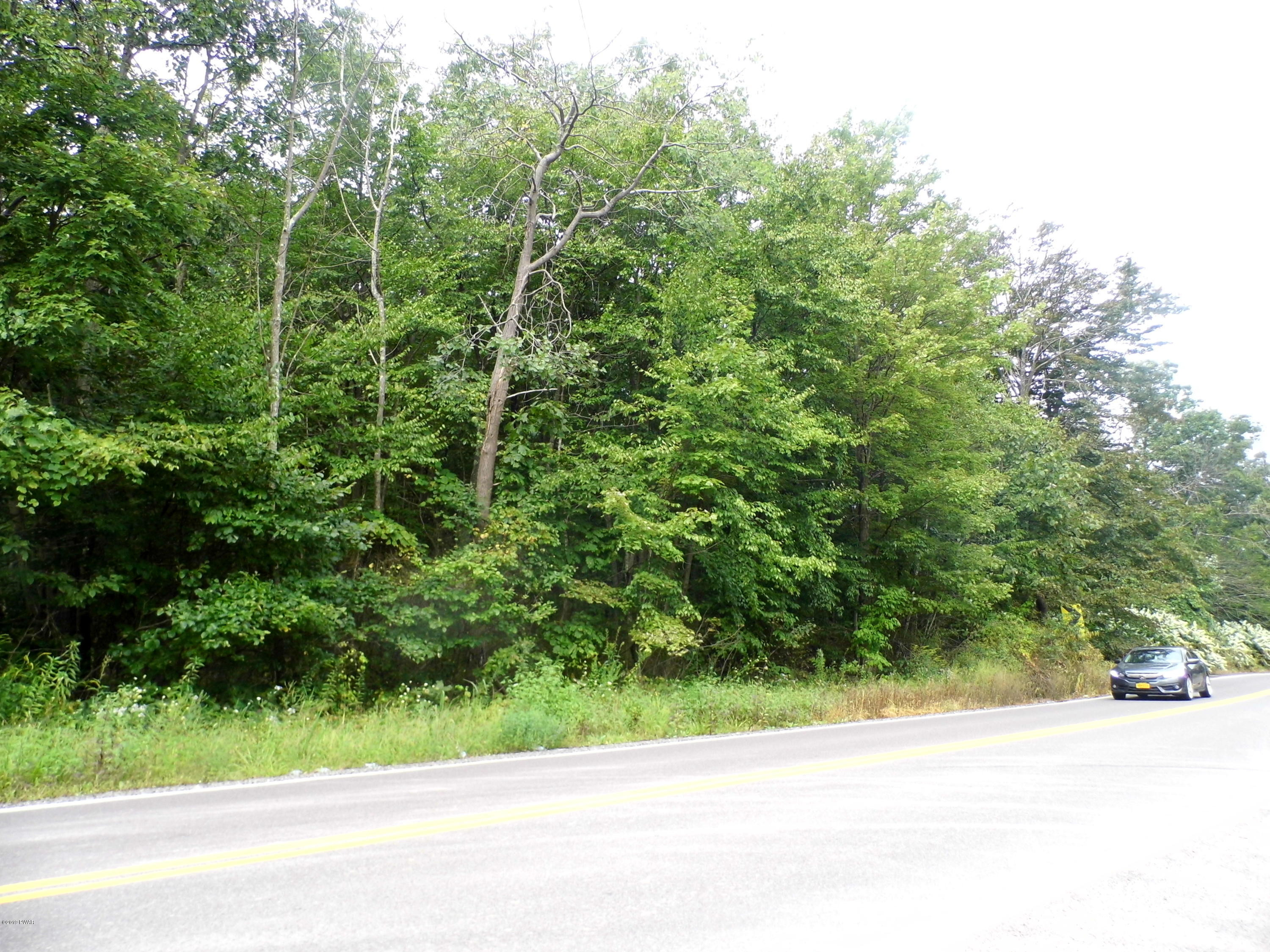 Nuangola Rd Mountain Mountain Top, PA 18707 - Photo 3 of 3