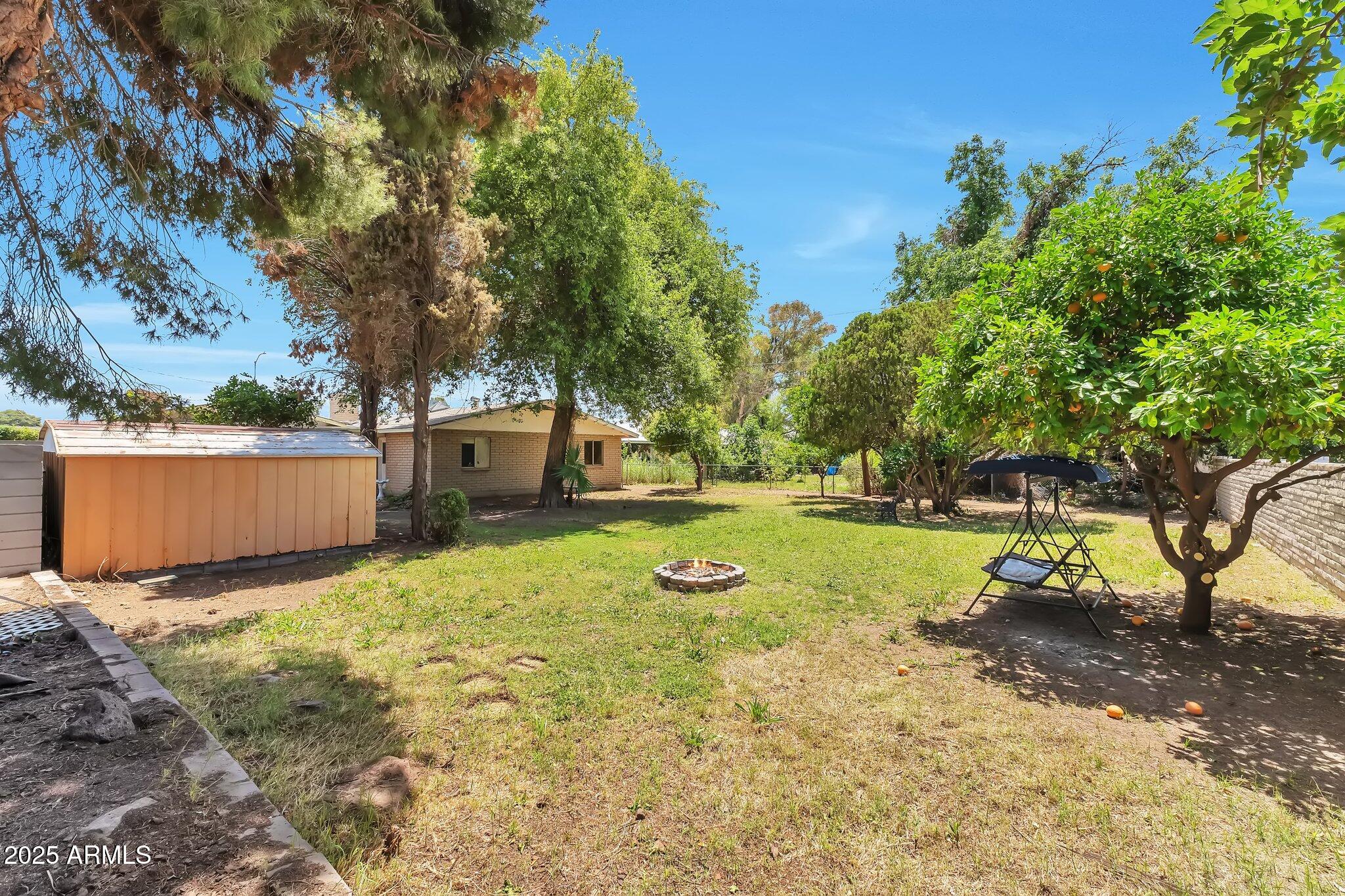 504 North Emerson Mesa, AZ 85201 - Photo 18 of 19 a view of backyard with tree