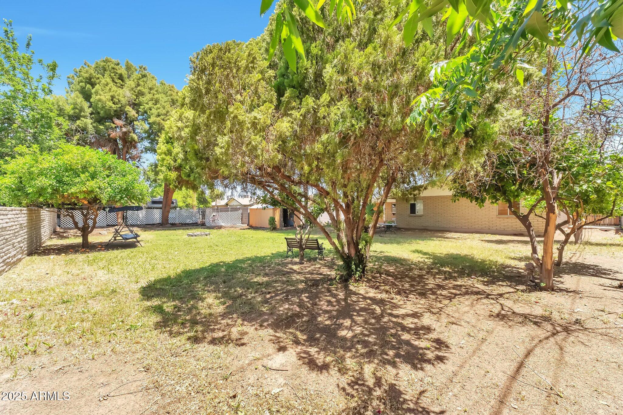 504 North Emerson Mesa, AZ 85201 - Photo 19 of 19 a view of yard with tree