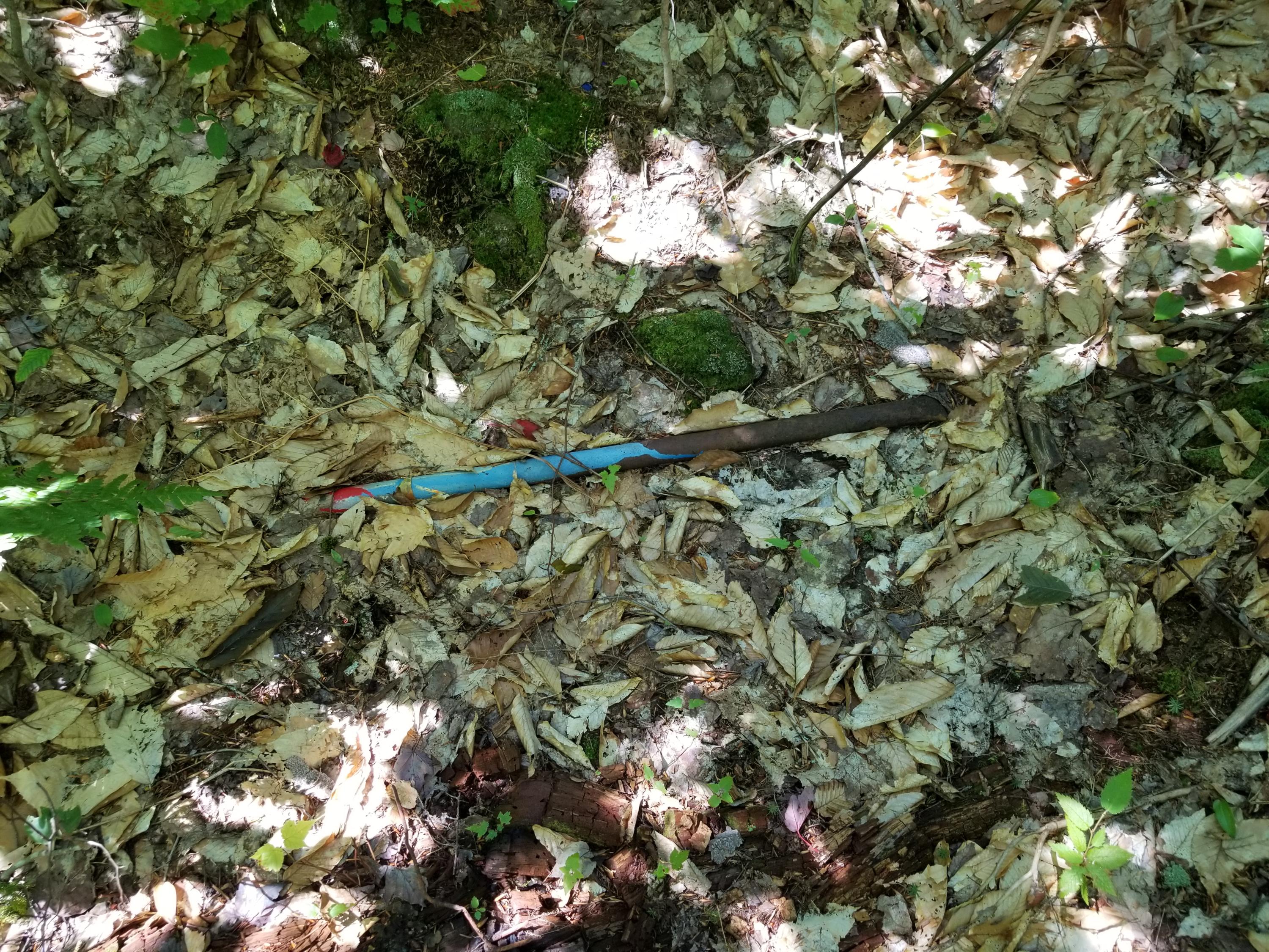 0 Weld Road Phillips, ME 04966 - Photo 13 of 47 20190905_132244