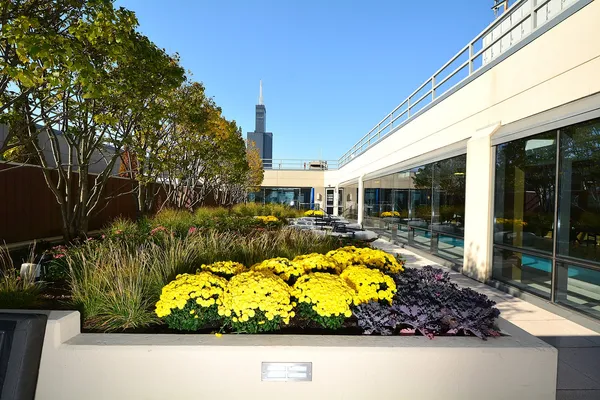 a view of a patio with table and chairs and potted plants