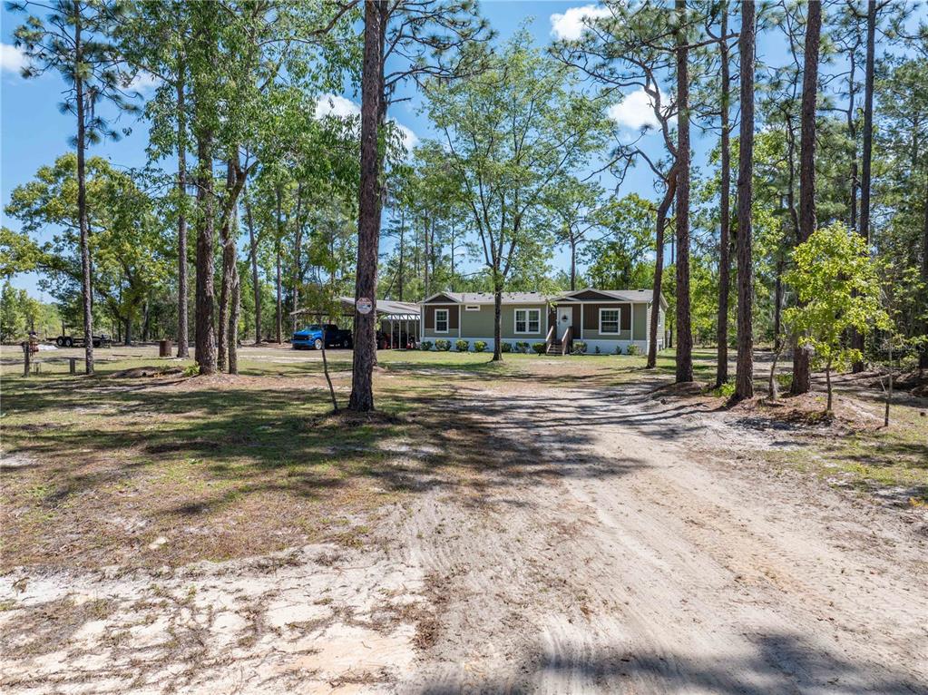 221 Magnolia Road Hawthorne, FL 32640 - Photo 41 of 41