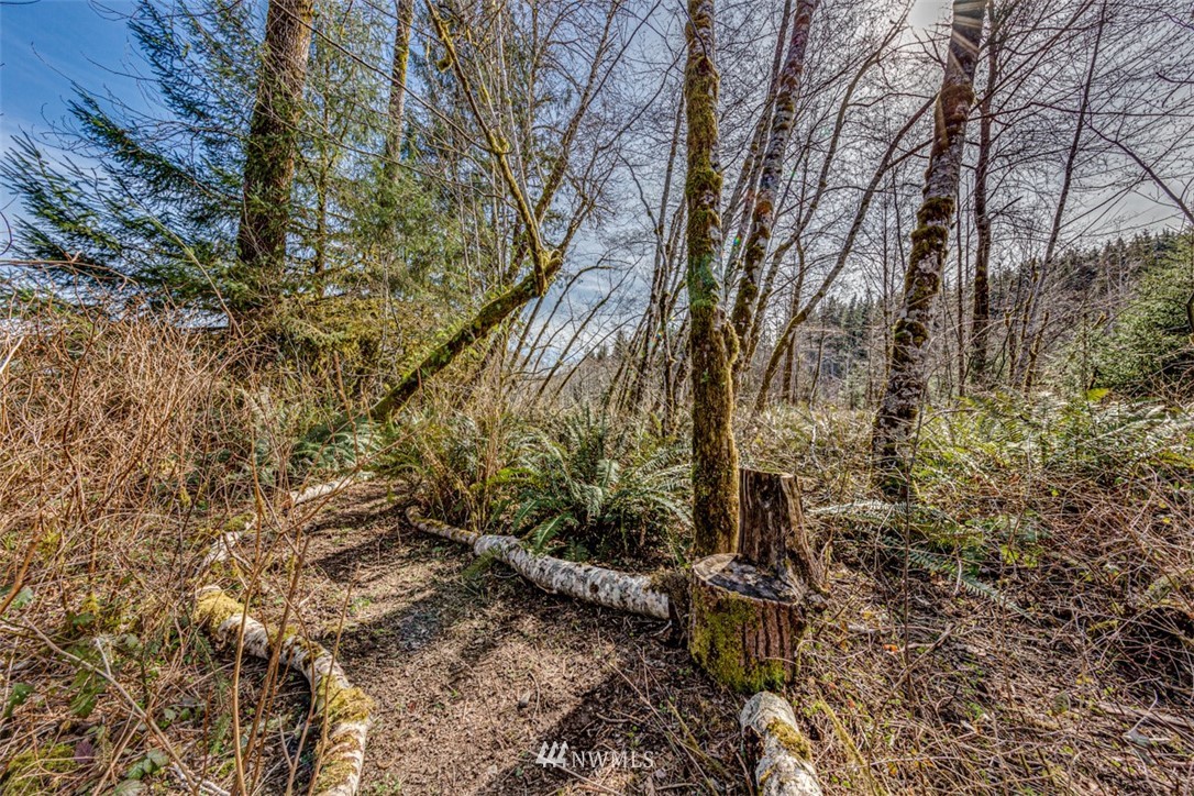 3386 Undi Road Forks, WA 98331 - Photo 4 of 36 a backyard of a house with lots of green space