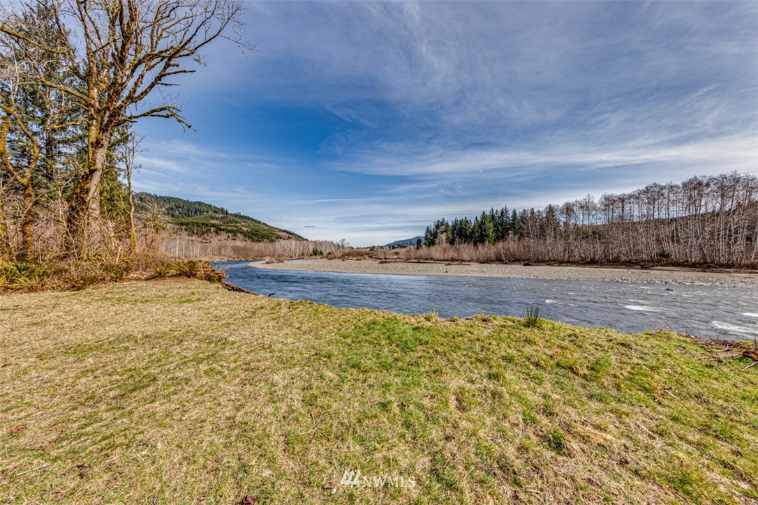 3386 Undi Road Forks, WA 98331 - Photo 7 of 36 a view of a yard with an trees