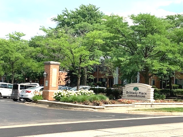 2303 South Goebbert Road, Unit 110 Arlington Heights, IL 60005 - Photo 1 of 19