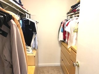 2303 South Goebbert Road, Unit 110 Arlington Heights, IL 60005 - Photo 11 of 19