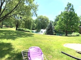 2303 South Goebbert Road, Unit 110 Arlington Heights, IL 60005 - Photo 16 of 19