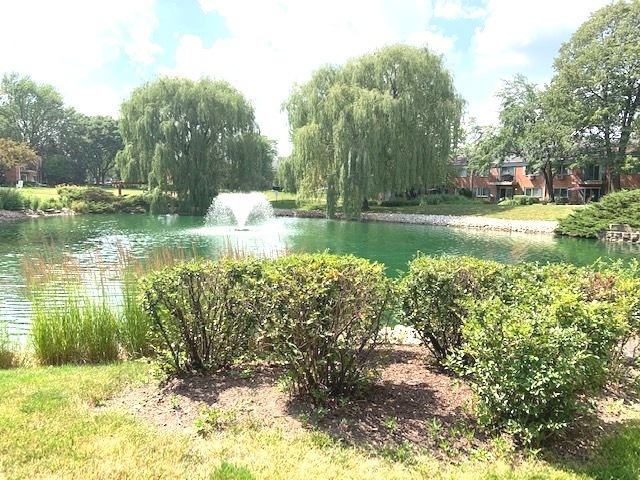 2303 South Goebbert Road, Unit 110 Arlington Heights, IL 60005 - Photo 19 of 19