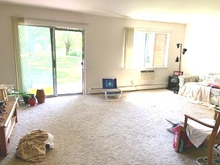 2303 South Goebbert Road, Unit 110 Arlington Heights, IL 60005 - Photo 3 of 19