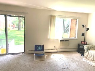2303 South Goebbert Road, Unit 110 Arlington Heights, IL 60005 - Photo 4 of 19