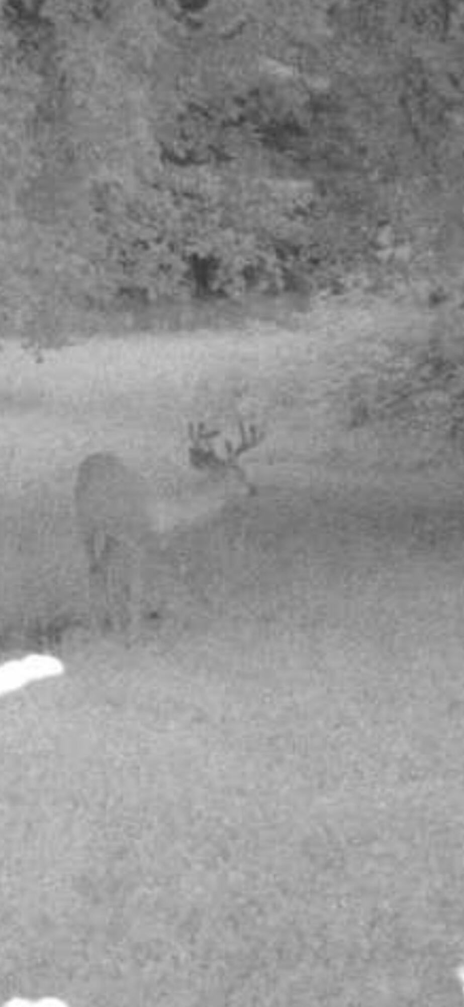 380 Birch Road Mikado, MI 48745 - Photo 125 of 225 IMG_0170