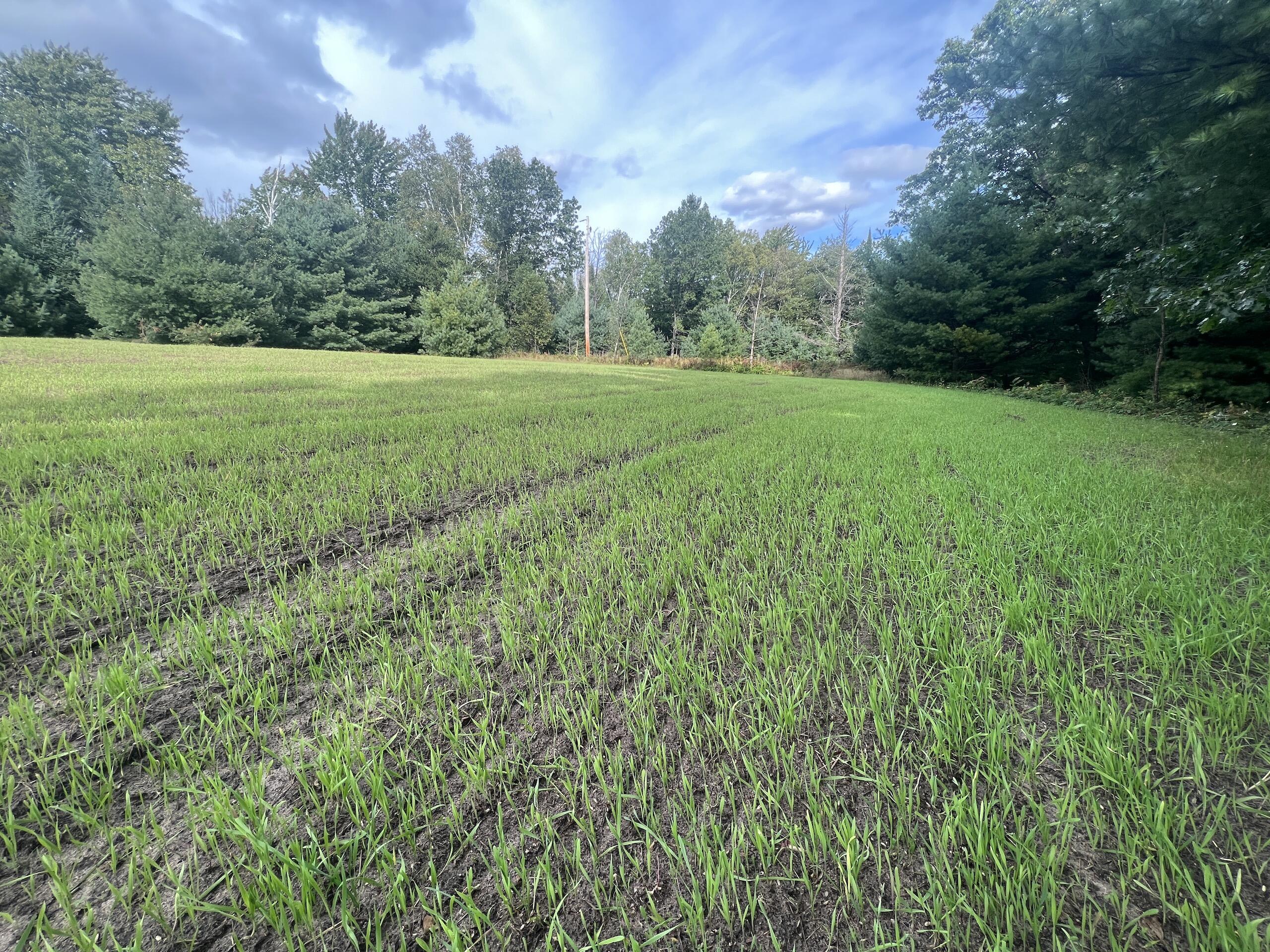 380 Birch Road Mikado, MI 48745 - Photo 131 of 225 IMG_5057