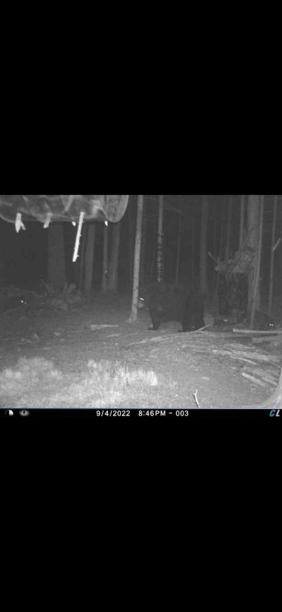 380 Birch Road Mikado, MI 48745 - Photo 198 of 225 IMG_0135