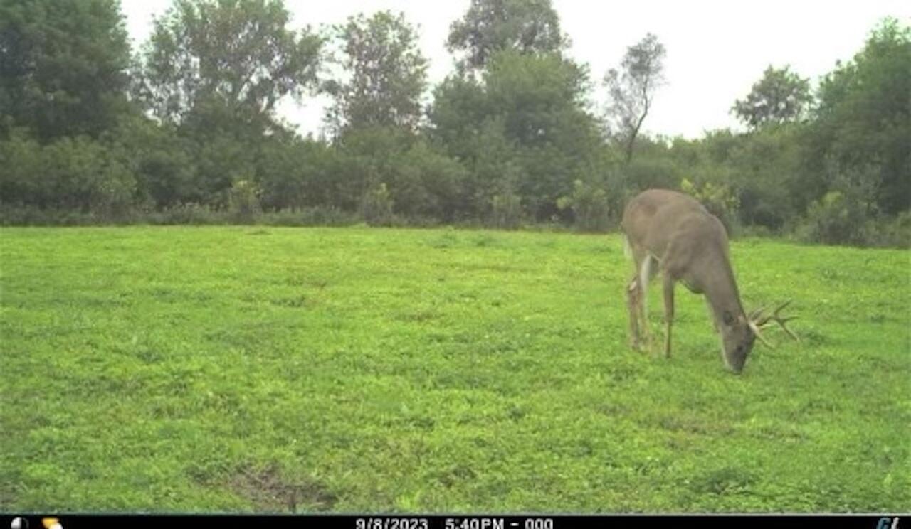 380 Birch Road Mikado, MI 48745 - Photo 225 of 225 T_00018