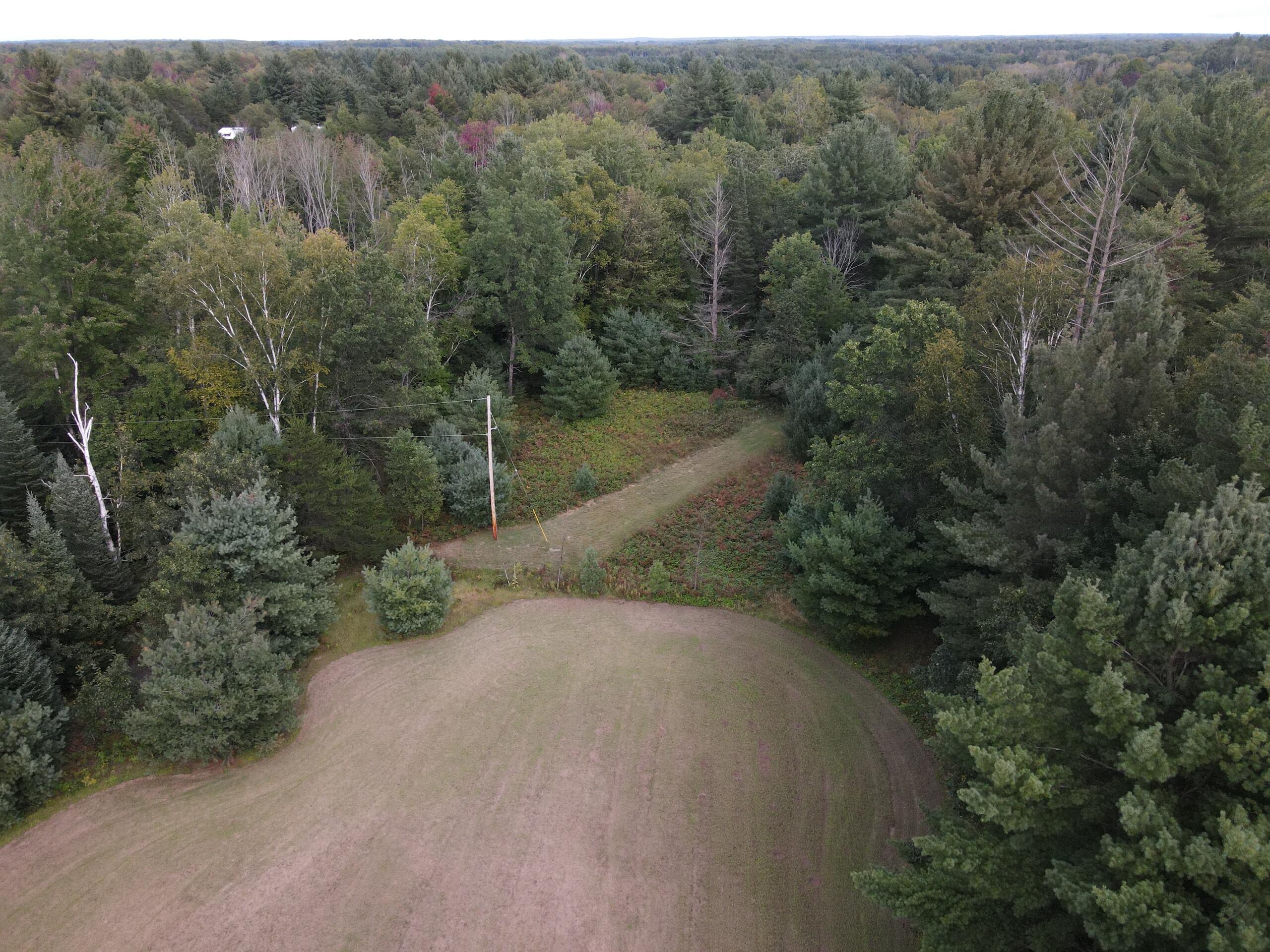 380 Birch Road Mikado, MI 48745 - Photo 4 of 225 DJI_0909