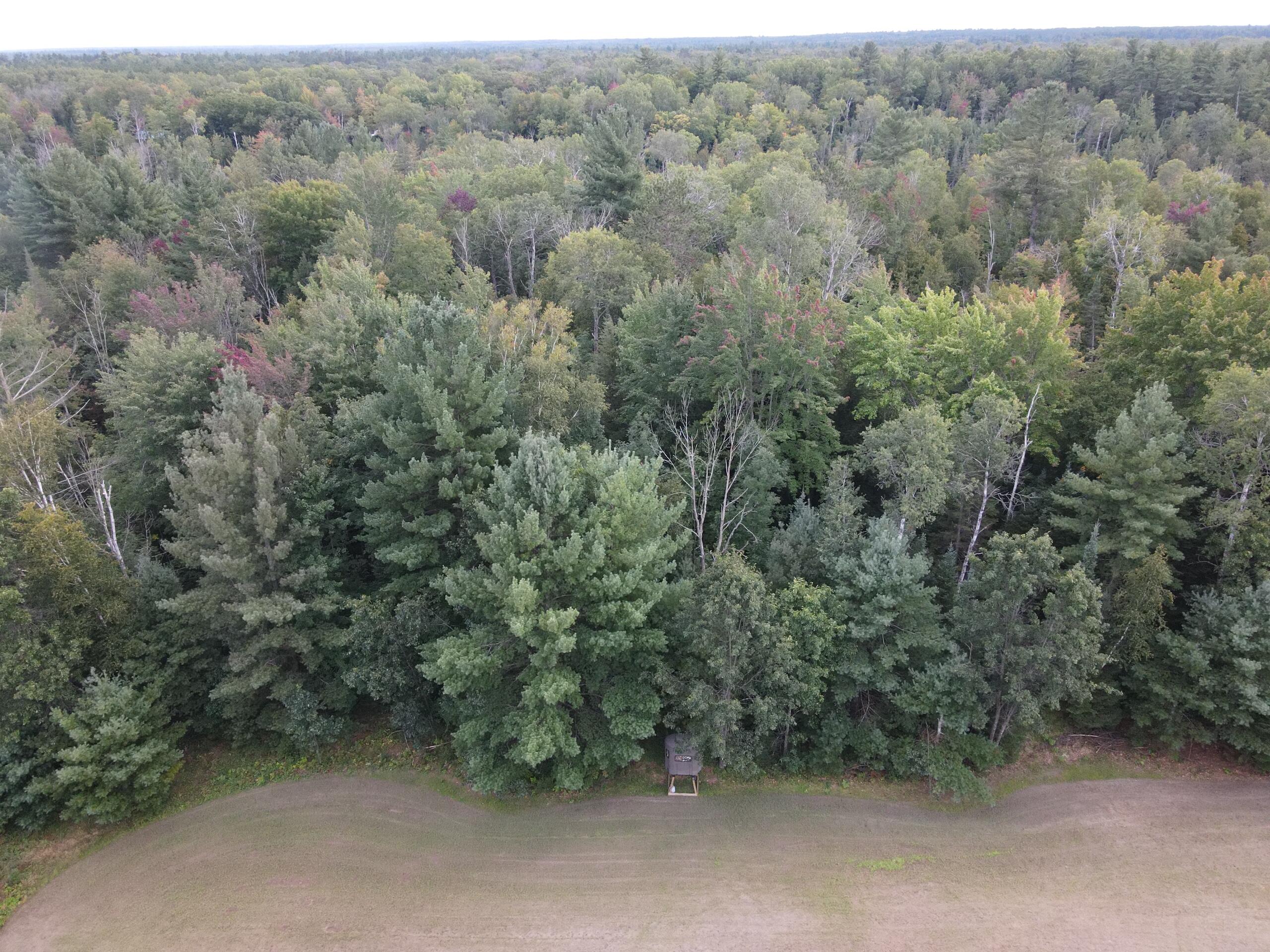 380 Birch Road Mikado, MI 48745 - Photo 6 of 225 DJI_0913