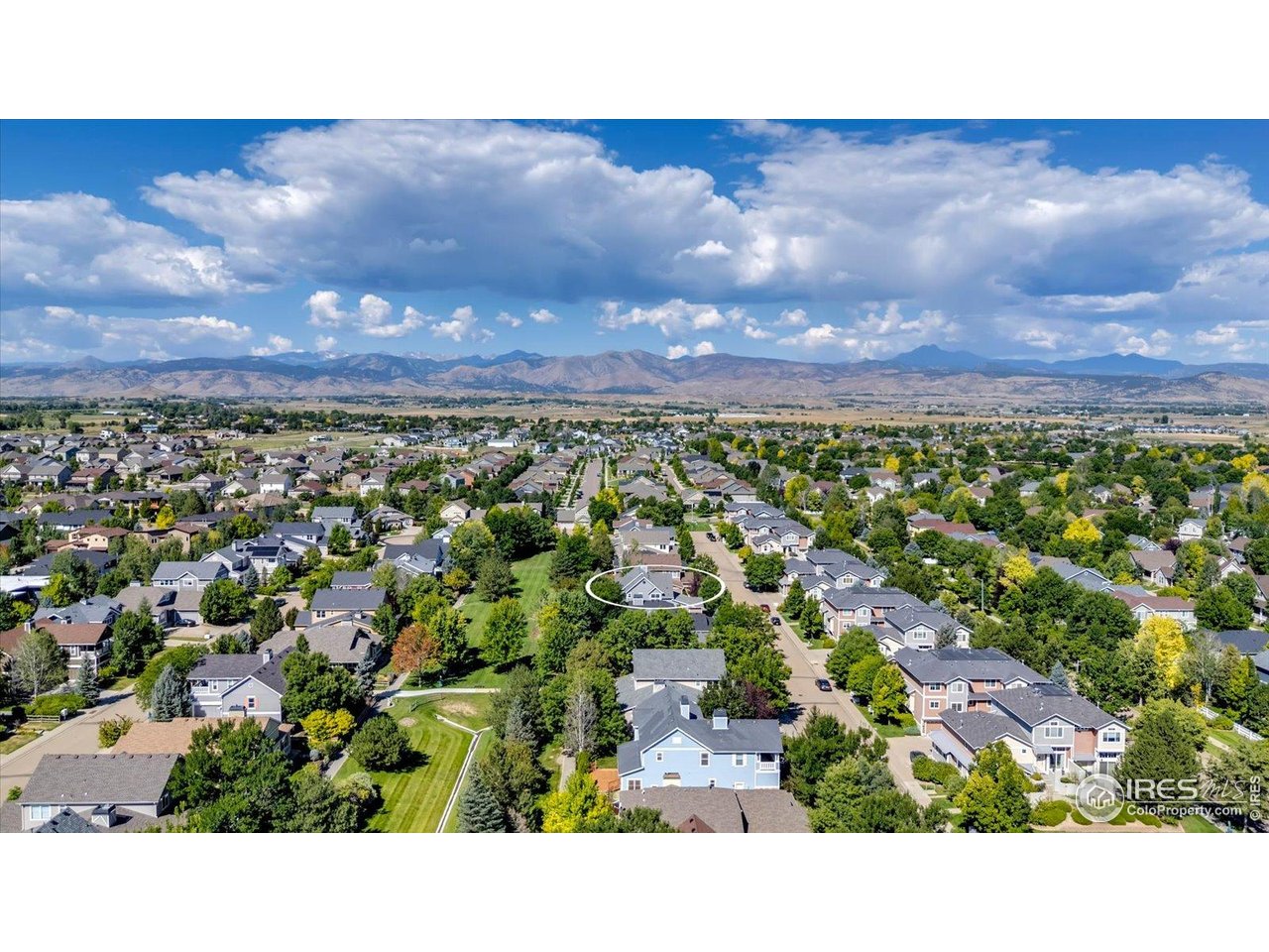 Amazing Southwest Longmont