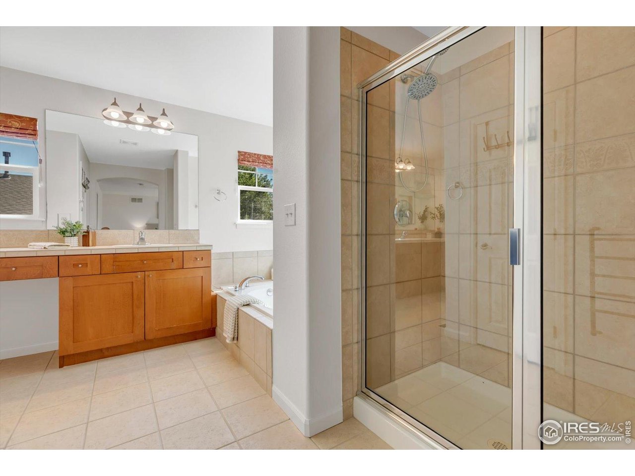 4119 Riley Drive Longmont, CO 80503 - Photo 27 of 47 Large Step-in Shower