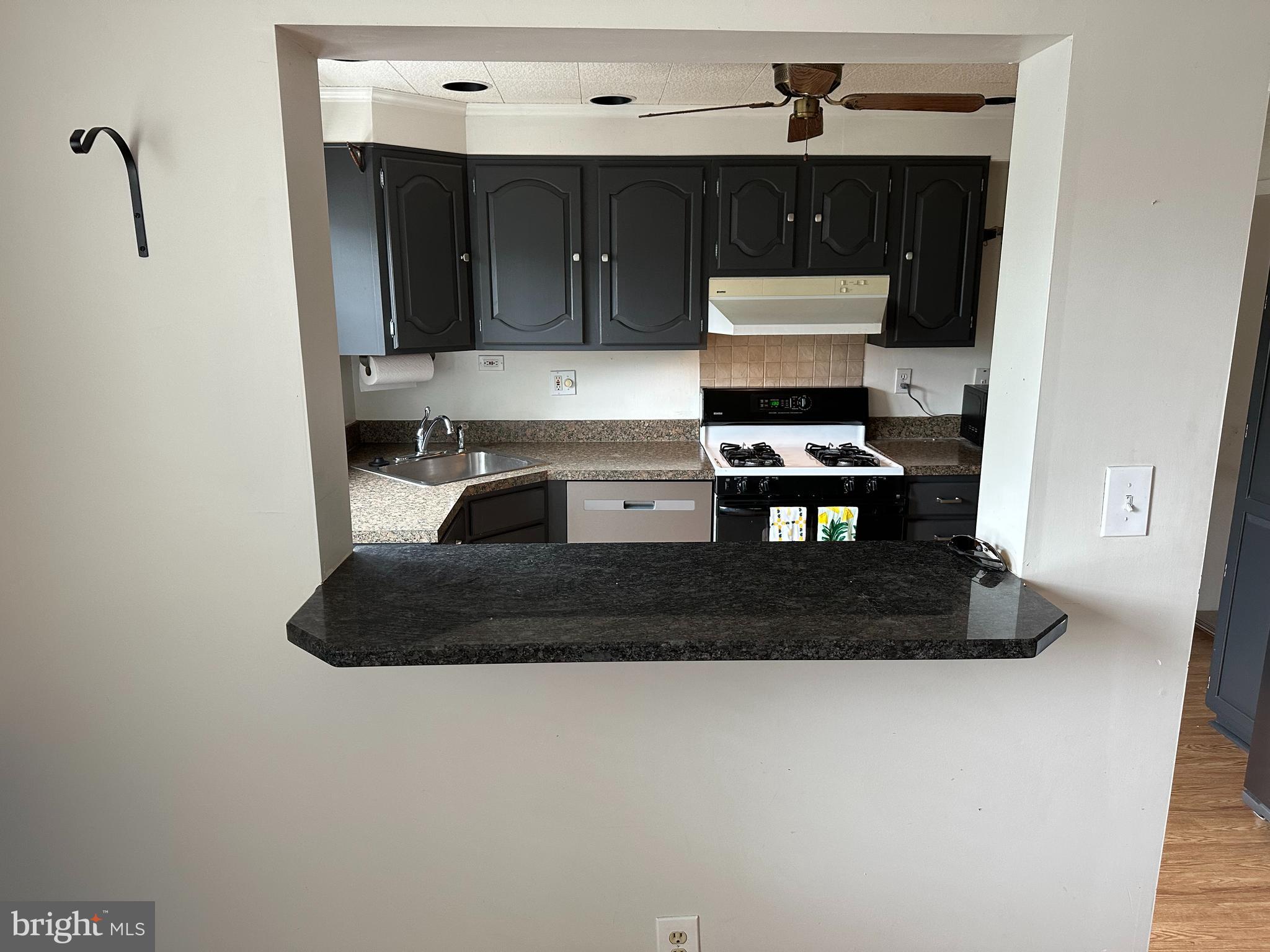 8202 Pleasant Plains Road Towson, MD 21286 - Photo 7 of 24 Pass Thru