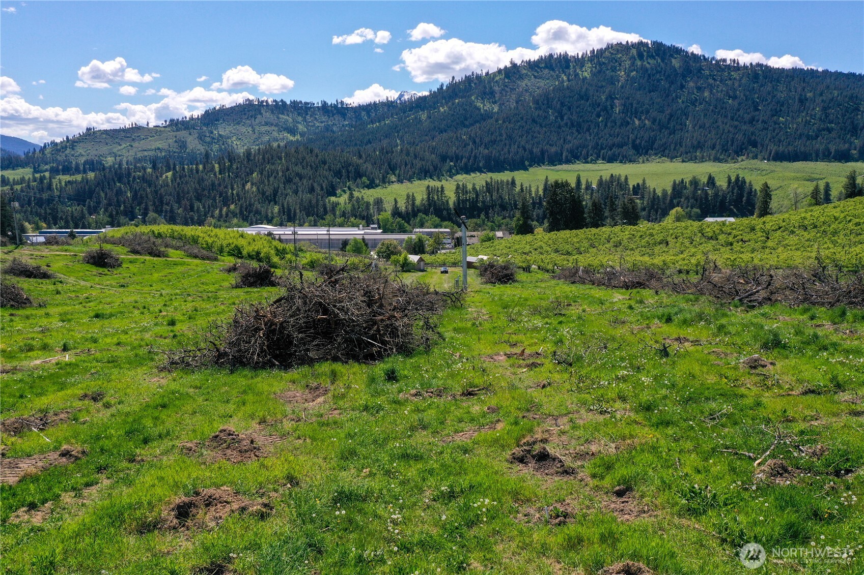 1 Ludwig Hill Road Peshastin, WA 98847 - Photo 13 of 33 a view of a back yard