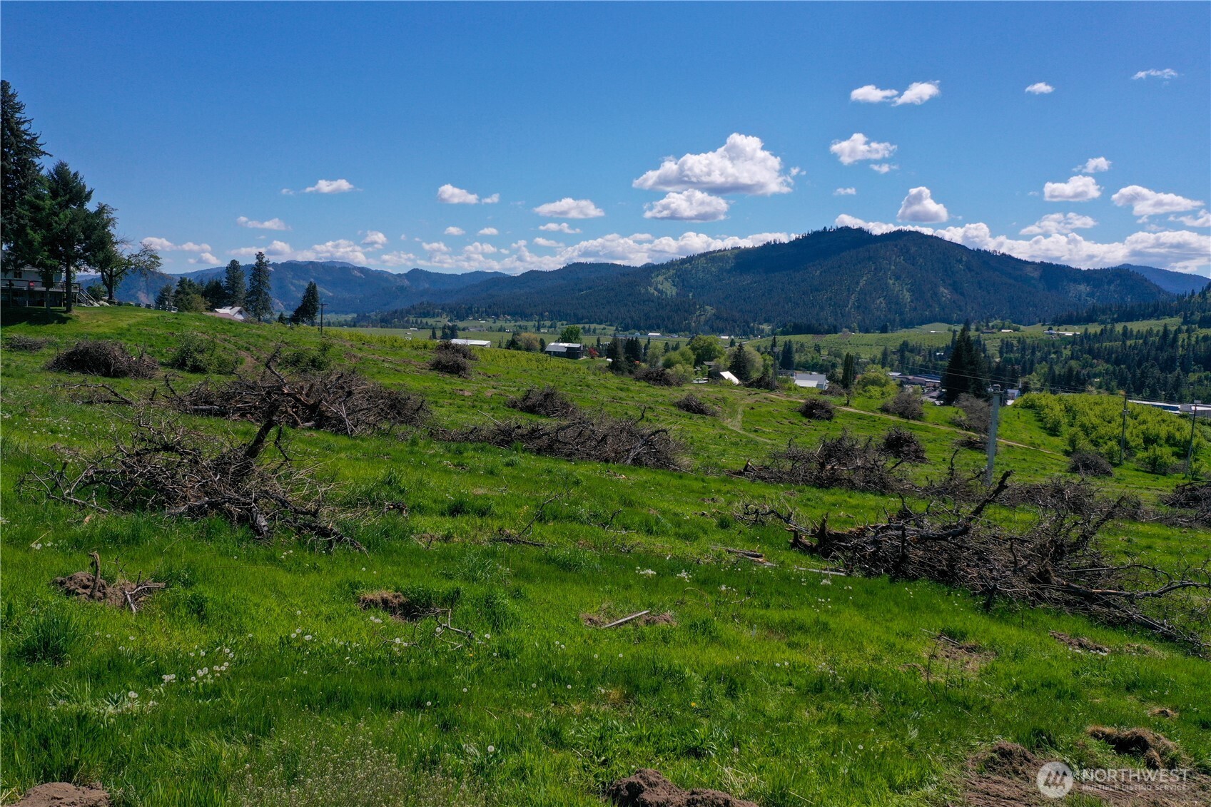 1 Ludwig Hill Road Peshastin, WA 98847 - Photo 17 of 33 a view of a bunch of plants and trees