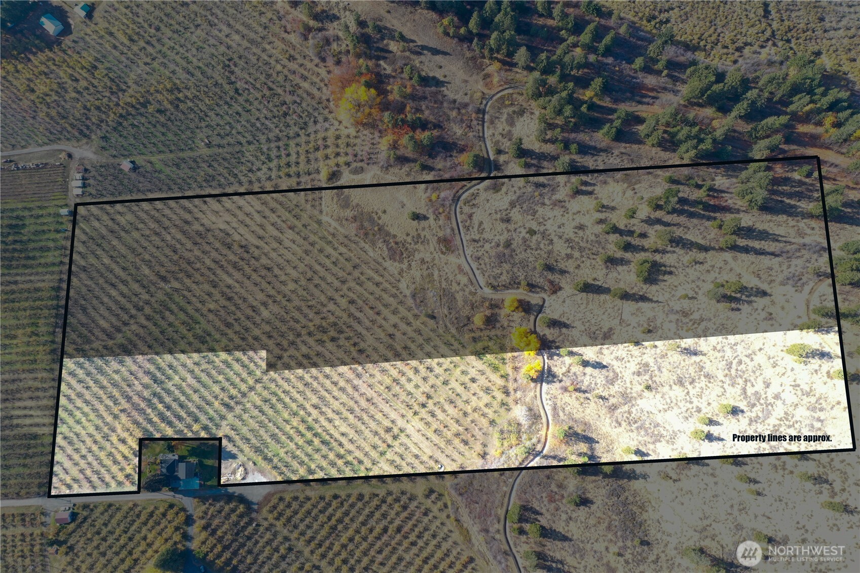 1 Ludwig Hill Road Peshastin, WA 98847 - Photo 2 of 16