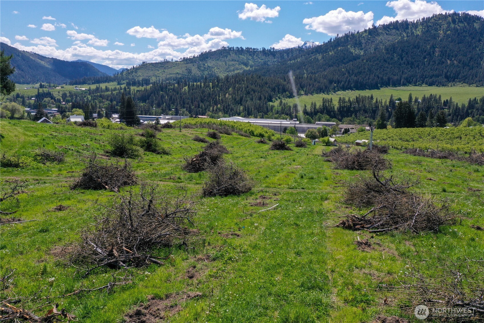 1 Ludwig Hill Road Peshastin, WA 98847 - Photo 22 of 33 a view of a lush green forest