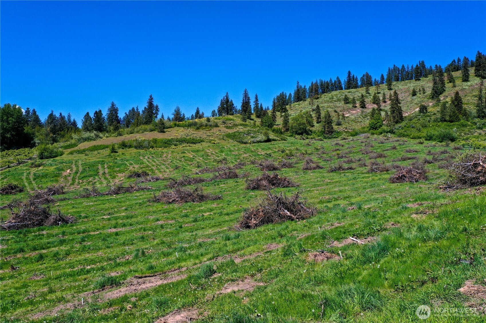 1 Ludwig Hill Road Peshastin, WA 98847 - Photo 25 of 33 a view of a large green field with lots of green space