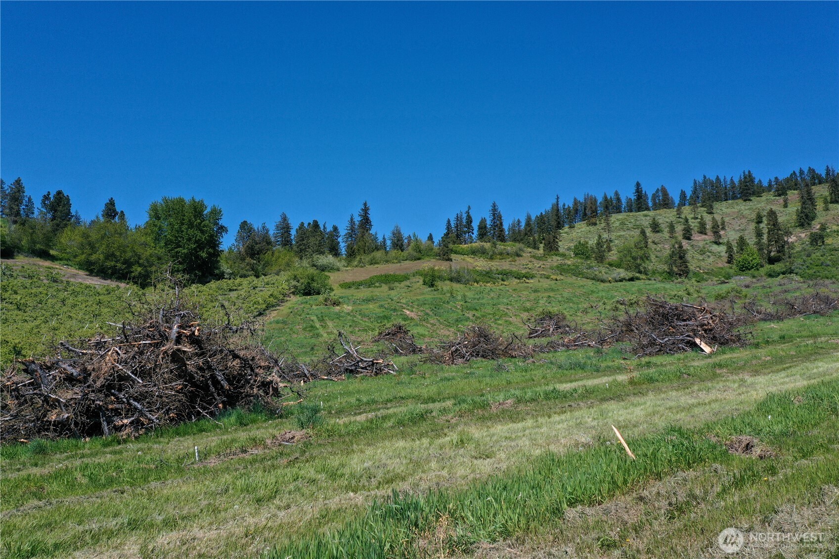 1 Ludwig Hill Road Peshastin, WA 98847 - Photo 26 of 33 a view of a field of grass and trees