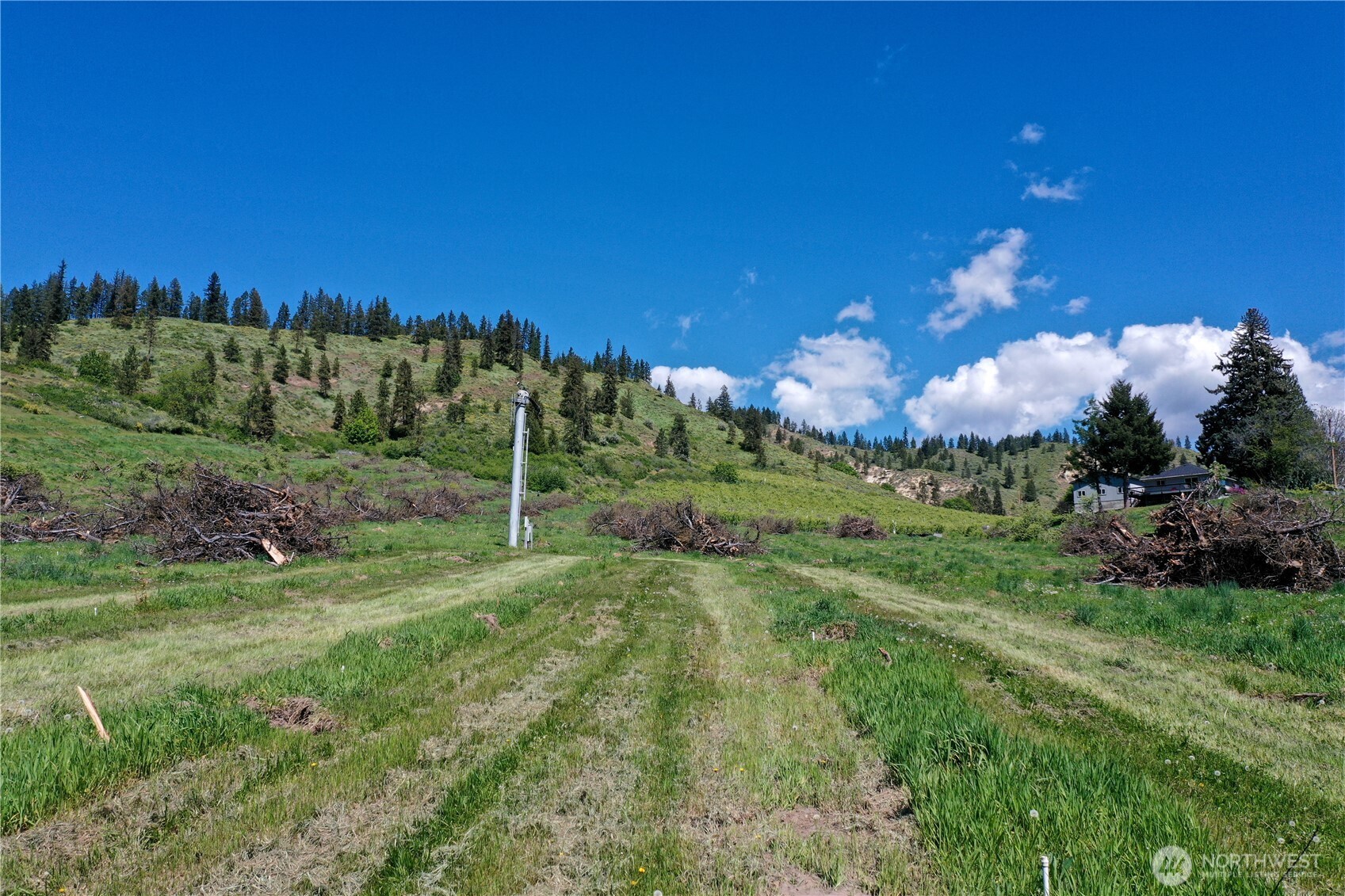 1 Ludwig Hill Road Peshastin, WA 98847 - Photo 27 of 33 a view of a grassy field with trees in the background