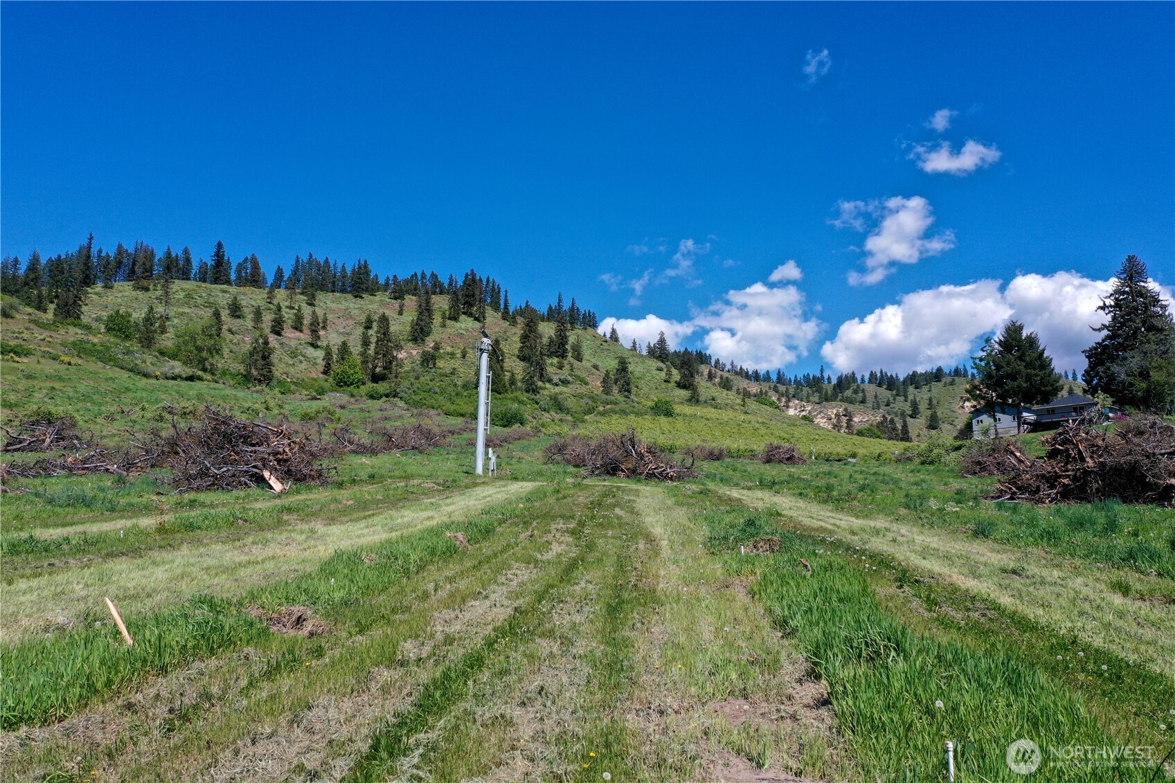 1 Ludwig Hill Road Peshastin, WA 98847 - Photo 28 of 33 a view of a field with mountains in the background