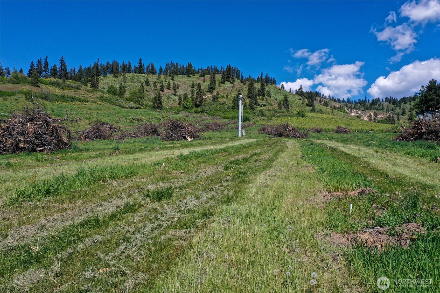 1 Ludwig Hill Road Peshastin, WA 98847 - Photo 30 of 33 a view of a grassy field with trees