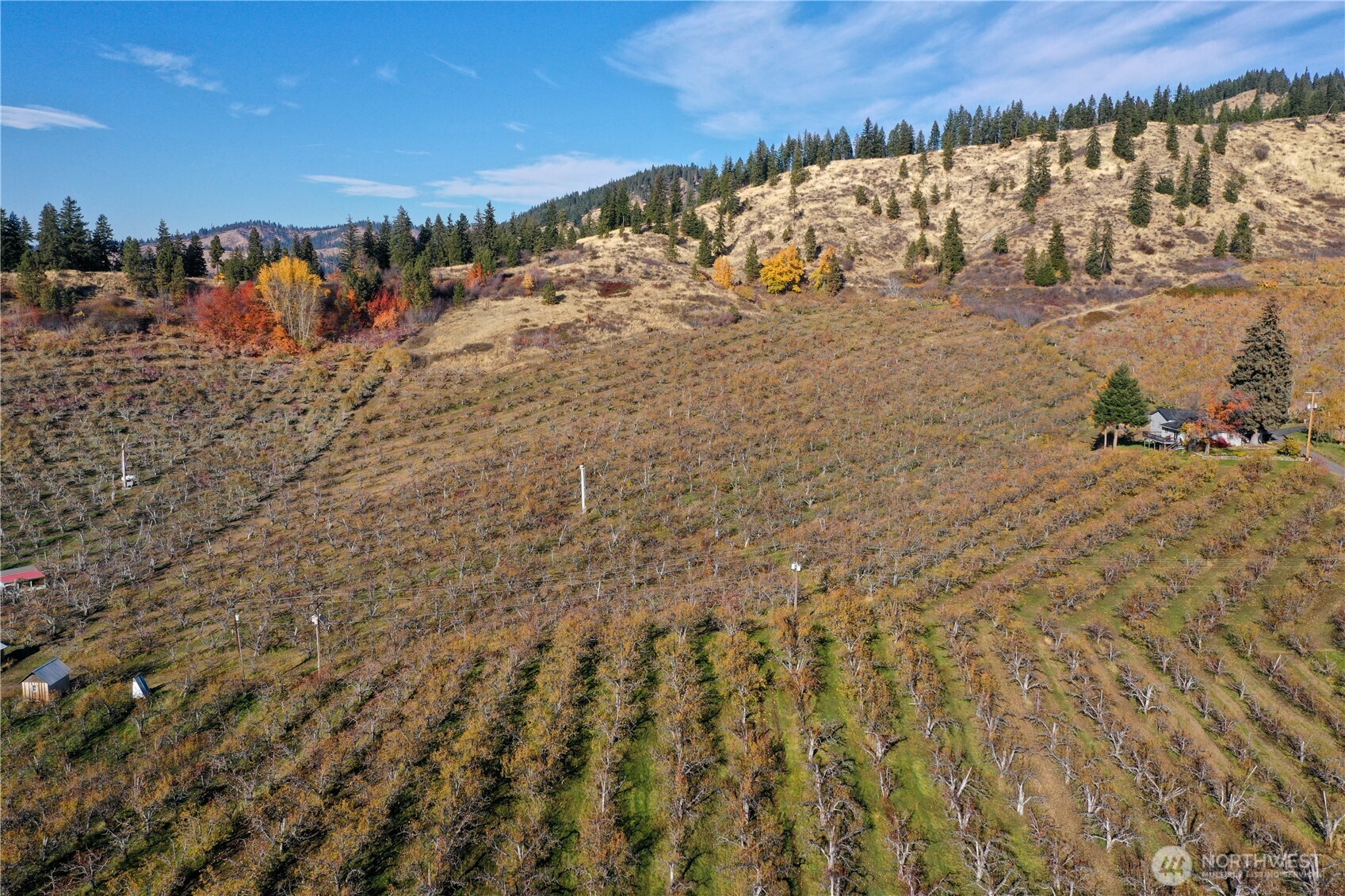 1 Ludwig Hill Road Peshastin, WA 98847 - Photo 3 of 16