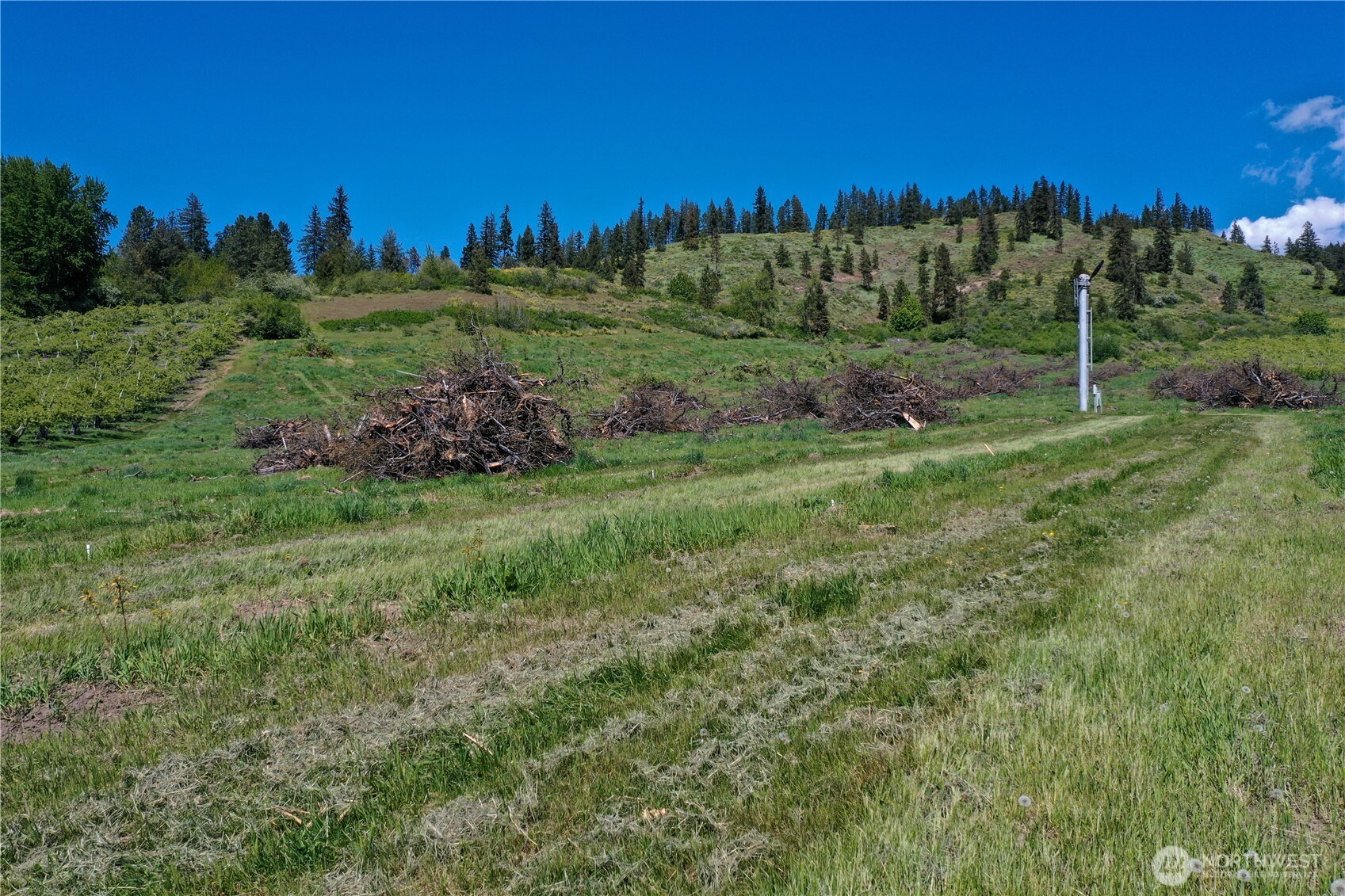 1 Ludwig Hill Road Peshastin, WA 98847 - Photo 31 of 33 a view of a grassy field with trees