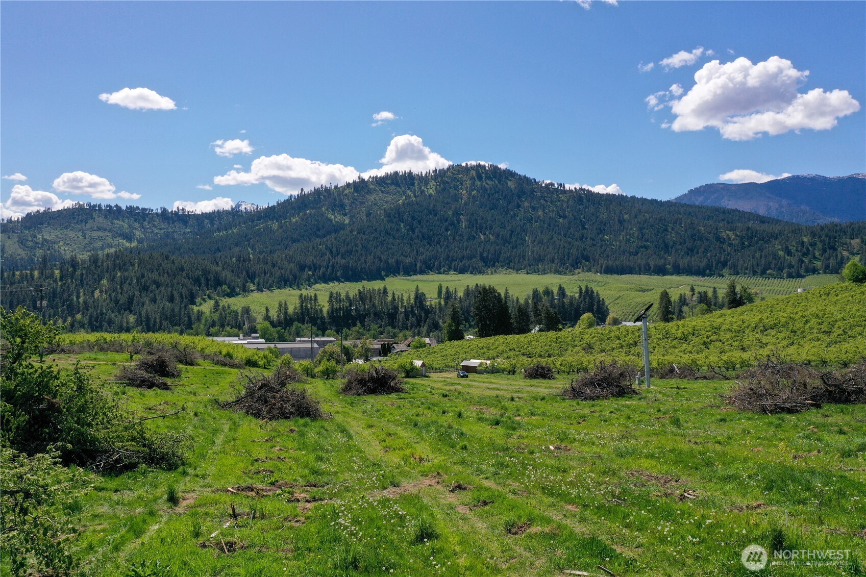 1 Ludwig Hill Road Peshastin, WA 98847 - Photo 32 of 33 a view of a lush green hillside and houses