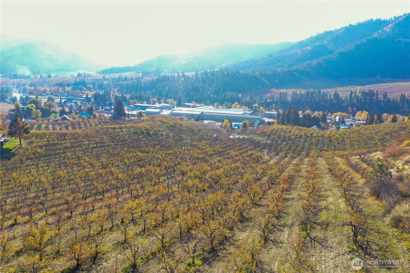 1 Ludwig Hill Road Peshastin, WA 98847 - Photo 10 of 16