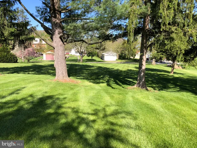 a view of a yard with a tree