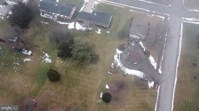 a view of a yard with a tree
