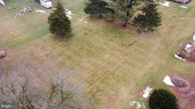 a view of backyard of a house with a yard and large trees