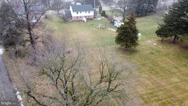 a view of a tree in the middle of a yard
