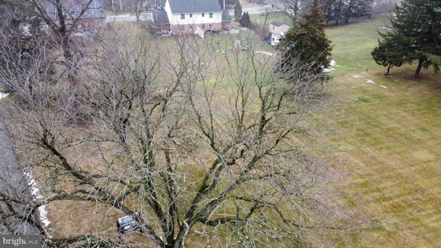 a view of a yard with a tree