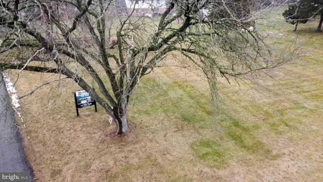a view of a trees with a yard