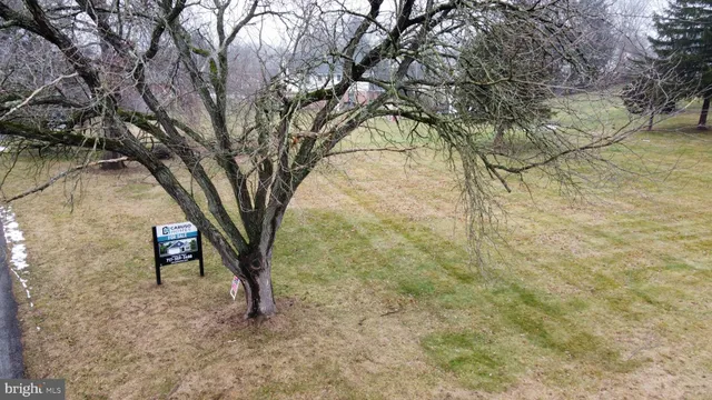 a view of outdoor space with deck and trees