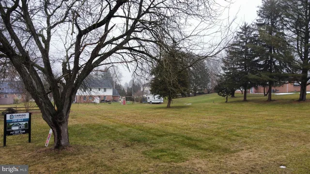 a view of a trees with a yard